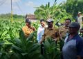 Bupati Harno Akui Kualitas Tembakau di Rembang Menurun Imbas Cuaca 19 Bupati Harno Akui Kualitas Tembakau di Rembang Menurun Imbas Cuaca