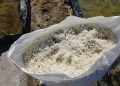 Harga Jual Garam Rendah, Petani di Rembang Harap Perhatian Pemerintah 18 Harga Jual Garam Rendah, Petani di Rembang Harap Perhatian Pemerintah