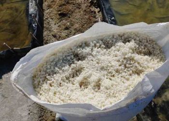 Harga Jual Garam Rendah, Petani di Rembang Harap Perhatian Pemerintah