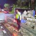 Truk Bermuatan Telur Terguling di JLS Salatiga, Jalan Sempat Licin 8 Truk Bermuatan Telur Terguling di JLS Salatiga, Jalan Sempat Licin