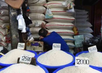 Stok Beras di Batang Diperkirakan Aman Hingga 7 Bulan Kedepan 4 Stok Beras di Batang Diperkirakan Aman Hingga 7 Bulan Kedepan