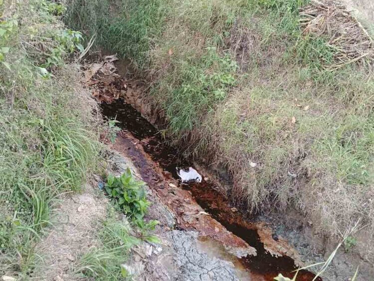 Soal Penampungan Rembesan Minyak Mentah di Gandu Blora,  Ini Respon Pertamina