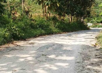 4 Jalan di Blora dapat Anggaran Perbaikan Rp97 Miliar Lewat Program IJD 2025