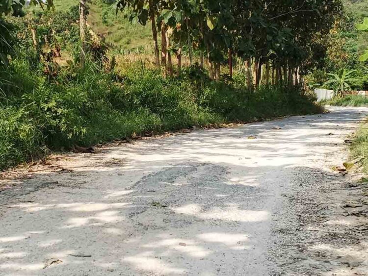 4 Jalan di Blora dapat Anggaran Perbaikan Rp97 Miliar Lewat Program IJD 2025