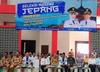 Tekan Angka Pengangguran, Pemkab Demak Gelar Seleksi Magang ke Jepang 5 Tekan Angka Pengangguran, Pemkab Demak Gelar Seleksi Magang ke Jepang