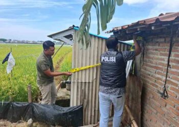 Kasus Mahasiswa Meninggal Akibat Tersengat Jebakan Tikus di Kudus Diselidiki Polisi