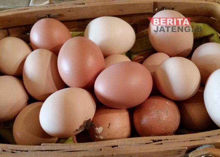 Mohammad Saleh Minta Pemprov Jateng Kendalikan Harga Pangan Cegah Inflasi