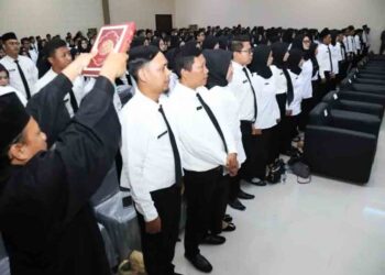 Apa Saja Tunjangan PPPK Paruh waktu? Simak Detailnya