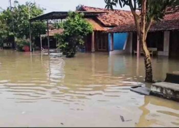 Banjir Rendam Ratusan Rumah di Batangan Pati Akibat Tanggul Jebol 6 Banjir Rendam Ratusan Rumah di Batangan Pati Akibat Tanggul Jebol