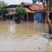 Banjir Rendam Ratusan Rumah di Batangan Pati Akibat Tanggul Jebol 8 Banjir Rendam Ratusan Rumah di Batangan Pati Akibat Tanggul Jebol
