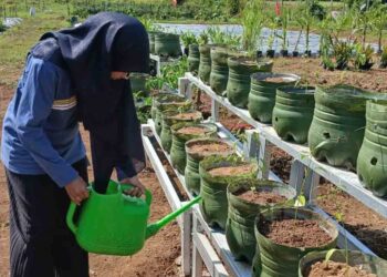 Pemkot Pekalongan Dorong Urban Farming Atasi Darurat Sampah