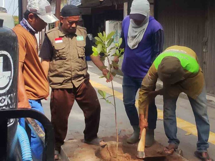 Hari Santri, 30 Pohon Sawo Kecik Ditanam di Sepanjang Pantura Lasem Rembang 1 Hari Santri, 30 Pohon Sawo Kecik Ditanam di Sepanjang Pantura Lasem Rembang