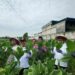 Hadapi Musim Hujan, Bupati Rembang Beri Semangat ke Petani Tembakau 8 Hadapi Musim Hujan, Bupati Rembang Beri Semangat ke Petani Tembakau