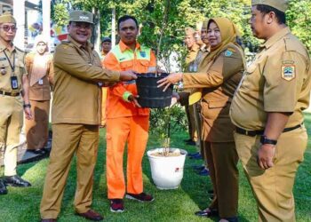 Raih UI Green City Metric, Walkot Salatiga Hibahkan Tanaman ke Sekolah