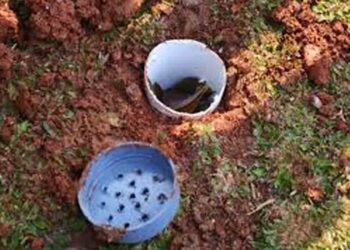 Gerakan Membuat Biopori di Salatiga Atasi Masalah Banjir dan Sampah
