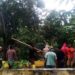 Angin Puting Beliung Menerjang Bendosari Salatiga, 10 Rumah Rusak 8 Angin Puting Beliung Menerjang Bendosari Salatiga, 10 Rumah Rusak