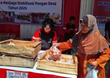Kenaikan Harga Telur di Kabupaten Semarang Diduga Imbas MBG 4 Kenaikan Harga Telur di Kabupaten Semarang Diduga Imbas MBG