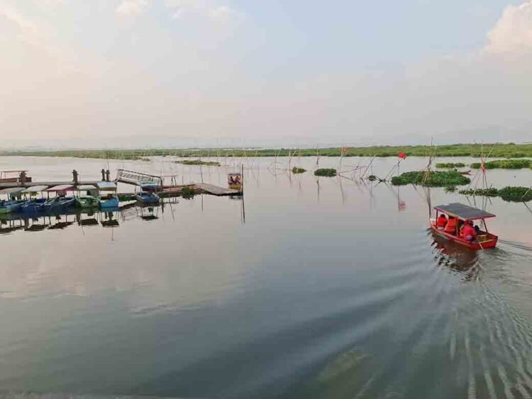 Temuan Sesar di Rawa Pening, 2 Desa di Kabupaten Semarang Lakukan Mitigasi Bencana