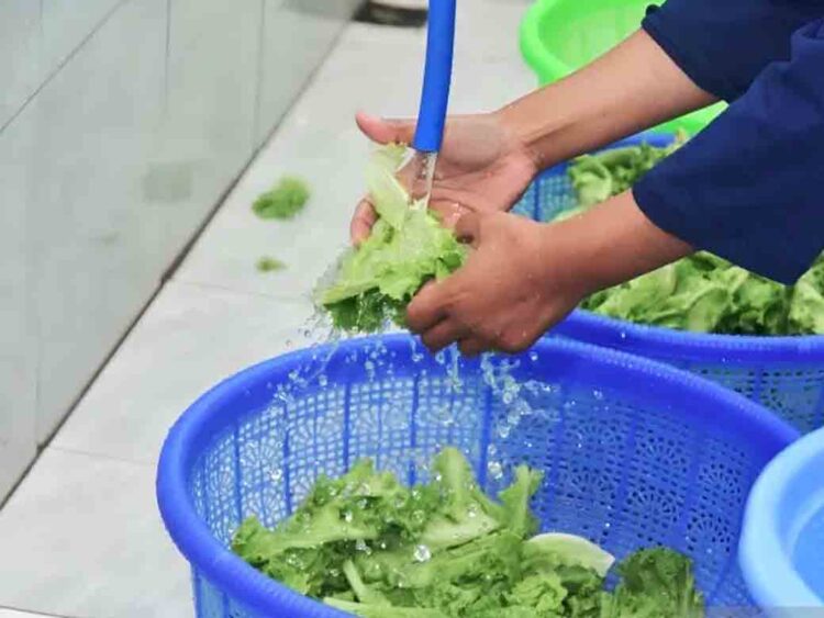 MBG di Semarang Hasilkan 1 Ton Sampah Per Hari, DLH Dorong Kerjasama SPPG-TPS3R