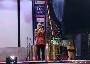 Kembangkan Pariwisata, Pemkab Demak Sukses Gelar TFC Night Show Festival