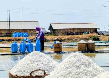 Nilai Investasi Proyek Pabrik Garam di Jepara Tembus Rp89,09 Miliar