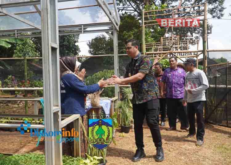 Jepara1 1