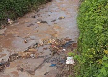 Warga Mengeluh Sungai Mbago Pati Tercemar Limbah Industri Tepung Tapioka