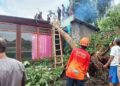 Salatiga Diterjang Angin Kencang, Puluhan Rumah Rusak Tertimpa Pohon
