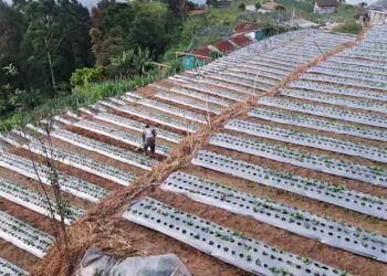 Pemkab Semarang Tegaskan Tak Ada Desa Tertinggal di Wilayahnya