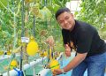 Warga Blora Berhasil Tanam Melon dengan Metode Hidroponik