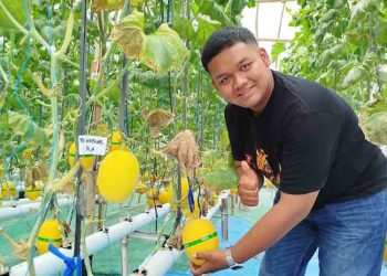 Warga Blora Berhasil Tanam Melon dengan Metode Hidroponik