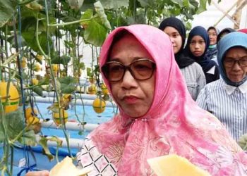 Wabup Blora Dorong Petani Melon Hidroponik Jadi Pemasok SPPG