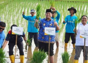 Pemkab Jepara-BRIN Kolaborasi Mengoptimalkan Lahan Terdampak Bencana