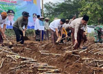 Pemkab Kudus Siapkan Langkah Strategis Tingkatkan Produktivitas Tebu