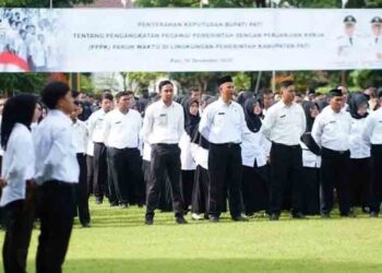 Ratusan  Honorer Pemkab Pati Belum Terima SK PPPK Paruh Waktu
