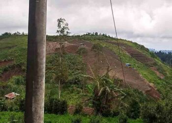 Alih Fungsi Hutan Ditemukan di Pekalongan, Berpotensi Timbulkan Bencana
