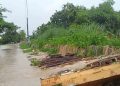Sedimentasi di Sejumlah Sungai di Semarang Bisa Picu Bencana Banjir
