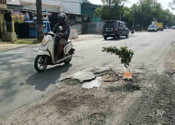 Sejumlah Lubang Muncul di Ruas Jalan Nasional Blora Imbas Cuaca Ekstrem