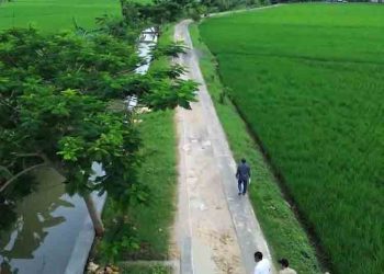 2 Ruas Jalan di Grobogan Akan Diperbaiki dengan Beton, Segini Anggarannya