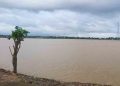 3.149,5 Hektar Sawah di 14 Kecamatan Wilayah Jepara Terendam Banjir, Ini Datanya