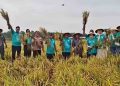 Plt Bupati Pati Chandra Buktikan Keberhasilan Panen Padi 10 Ton di Lahan 1 Hektar