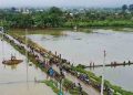 Banjir di Pati Terus Meluas, 4.400 Hektar Lahan Pertanian Terdampak