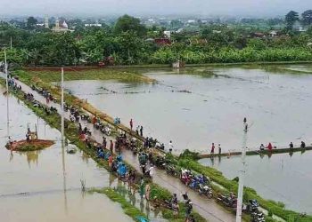 Banjir di Pati Terus Meluas, 4.400 Hektar Lahan Pertanian Terdampak