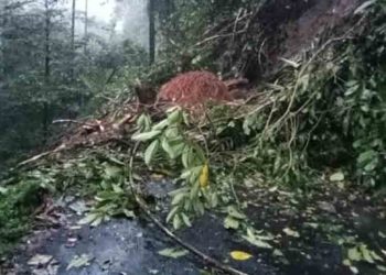 Diguyur Hujan Deras, Sejumlah Titik di Pekalongan Longsor