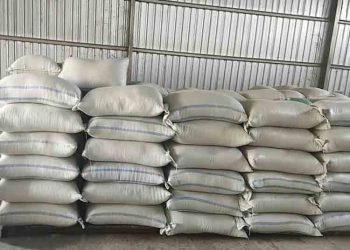 Pekalongan Siapkan Cadangan Pangan 34,5 Ton Gabah untuk Kondisi Darurat