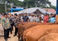 Rembang Bakal Lanjutkan Pembangunan Pasar Hewan Pamotan Tahun Ini