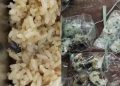 Temuan Serangga dan Telur Busuk di Menu MBG, SDN 2 Sekarsari Rembang Komplain