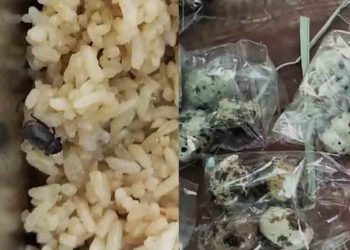 Temuan Serangga dan Telur Busuk di Menu MBG, SDN 2 Sekarsari Rembang Komplain
