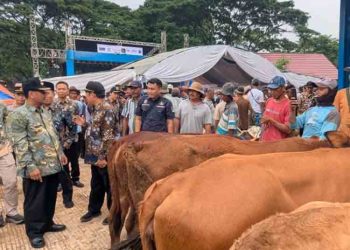 Rembang Bakal Lanjutkan Pembangunan Pasar Hewan Pamotan Tahun Ini