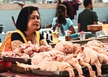 Harga Telur dan Ayam Ras di Salatiga Masih Tinggi Usai Nataru 7 Harga Telur dan Ayam Ras di Salatiga Masih Tinggi Usai Nataru